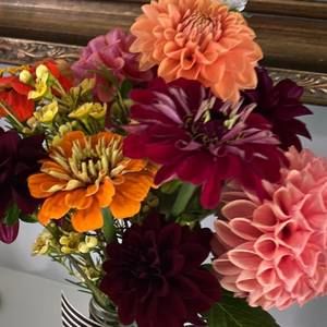 Meet your Posher, Nancy